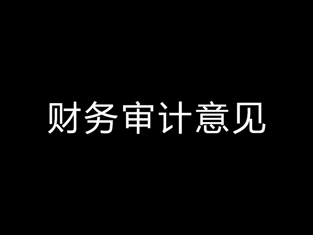 菜根谭股：财务审计意见